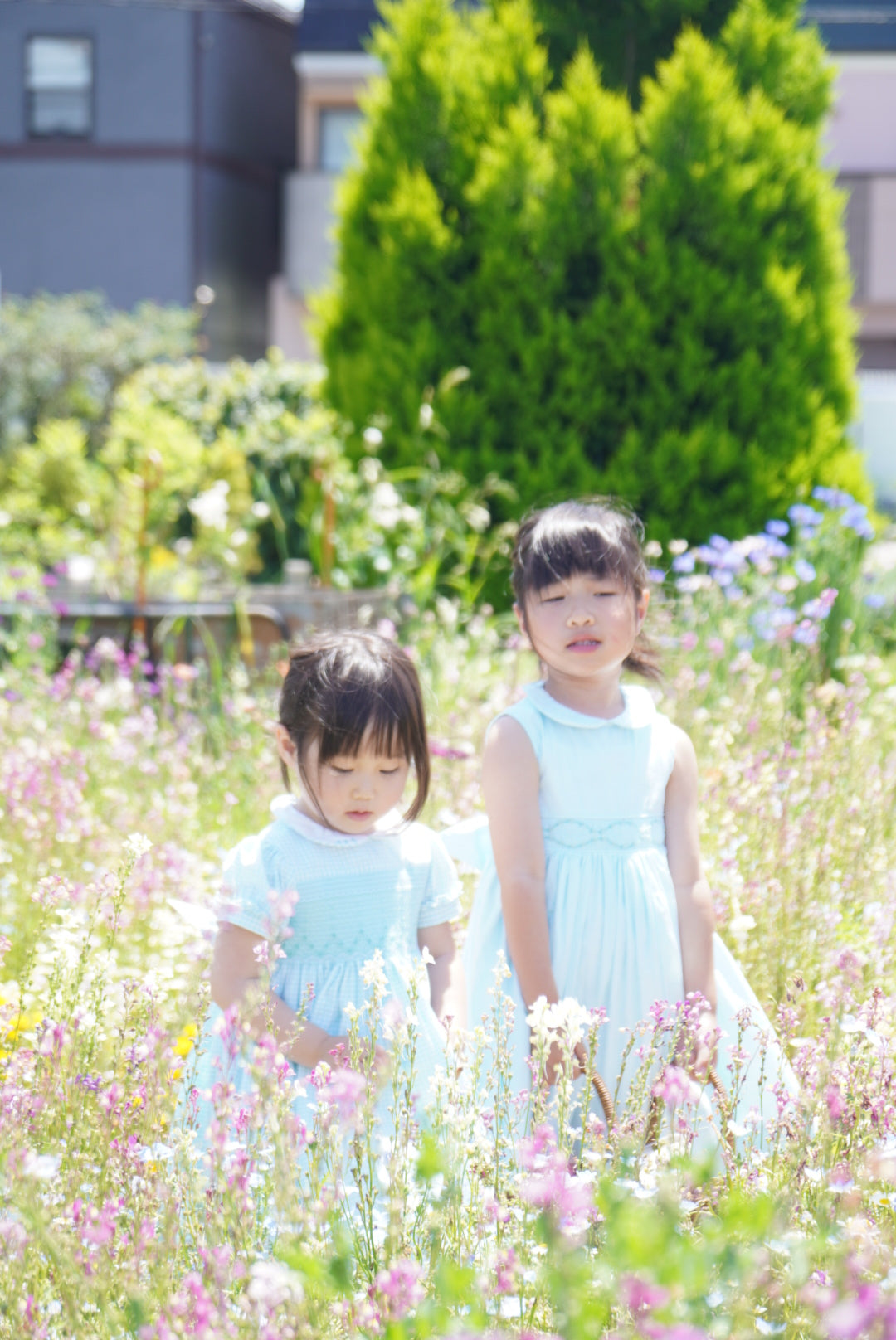 Image Title Charlotte sy Dimby classic timeless traditional smocked dresses for babies and girls handmade French style children clothing paris boutique first baby girl photo shoot heirloom dress