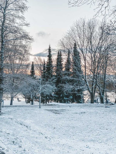 TRADITIONS DE NOËL FINLANDAISES AVEC ANETTE